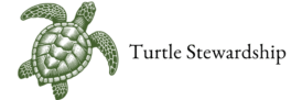 turtlestewardship.com